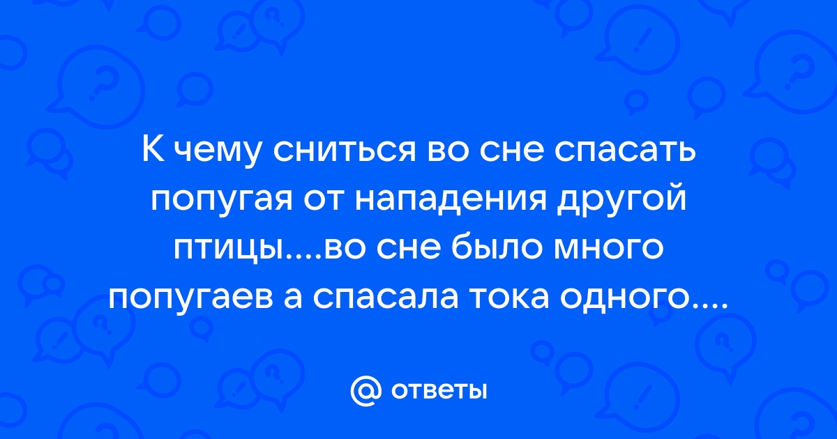 К чему снится поймать попугая