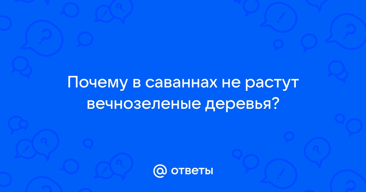 Природные зоны Африки: какие бывают, положение на карте