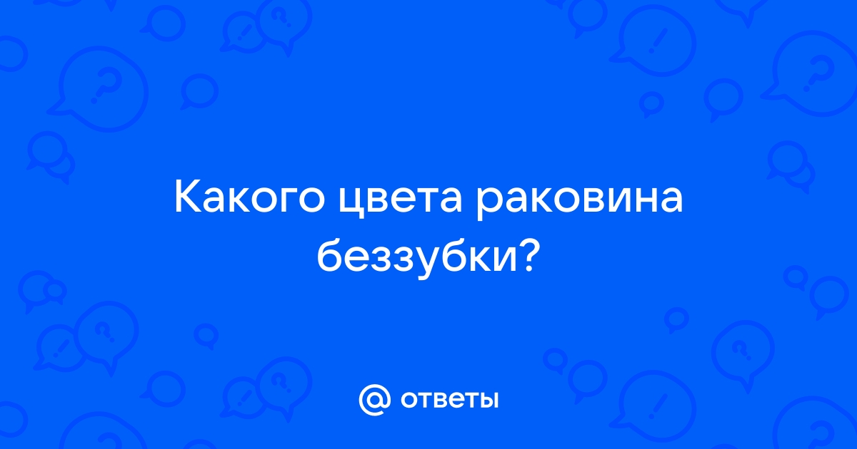 Почему раковина беззубка имеет такую окраску