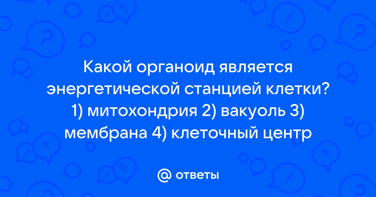 Органоиды клетки: мембранные и немембранные — Биология с Марией Семочкиной на center-lada.ru