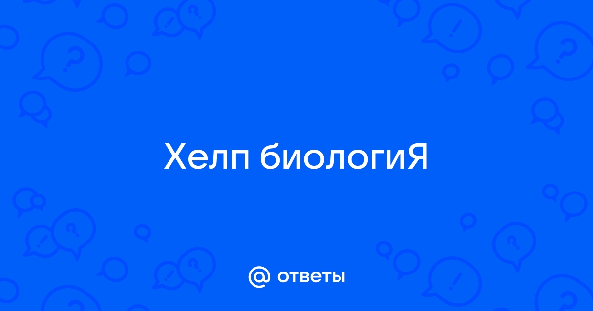 Ответы androidhub.ru: Изменяемыми частями аминокислоты являются: