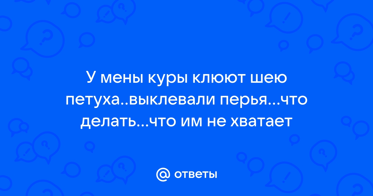 куры выщипывают перья друг у друга.