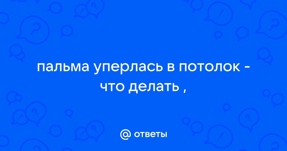 Как обрезать драцену для ветвления в домашних условиях