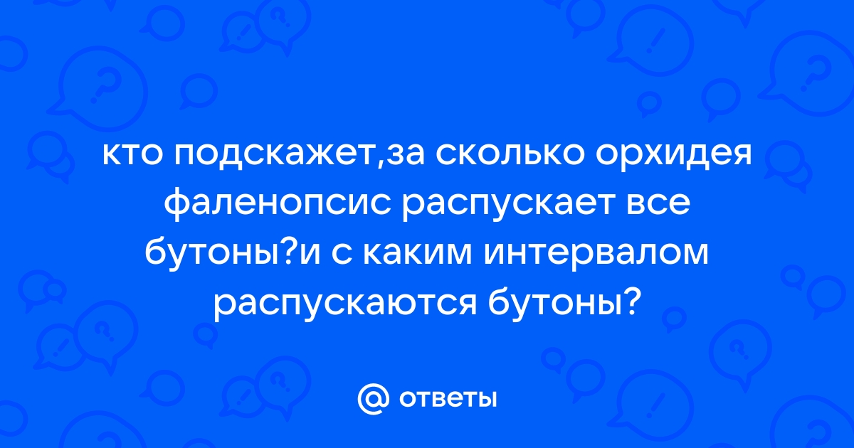 Орхидеи: почему не формируются бутоны - как заставить зацвести фаленопсис