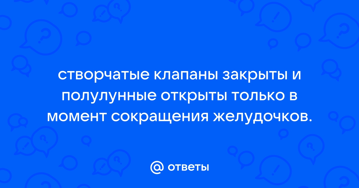 Когда закрыты створчатые клапаны