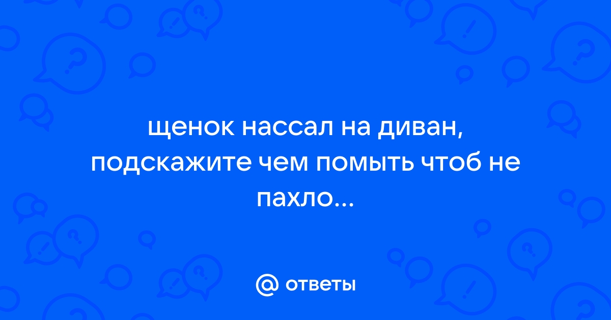 Щенок нассал на кровать