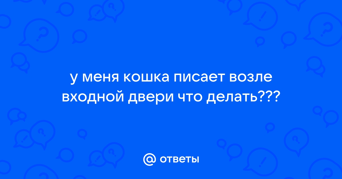 Проблема с лотком: кошка писает на кровать | Статьи о манчкинах