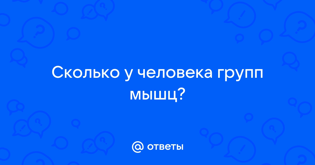 Сколько упражнений и подходов делать на одну группу мышц