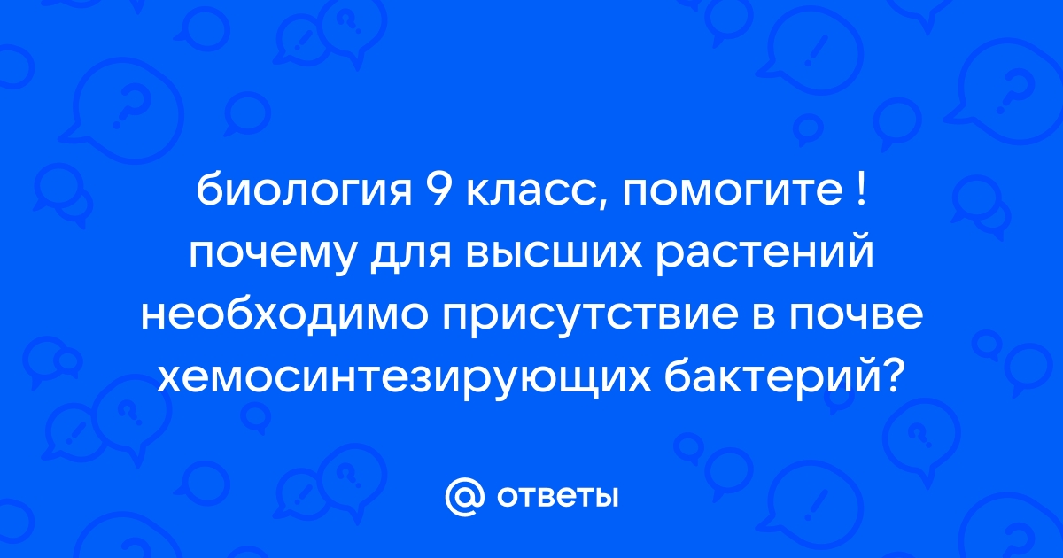 Словарь-справочник в вопросах и ответах