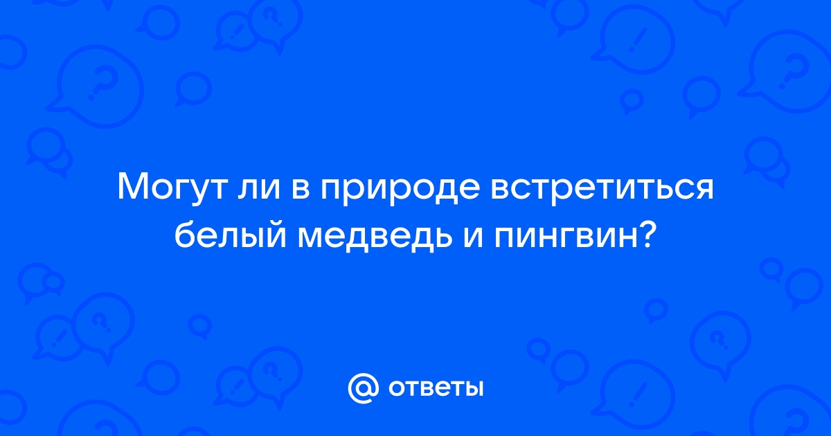 В гостях у животных холодных стран — МАДОУ д/с № города Тюмени