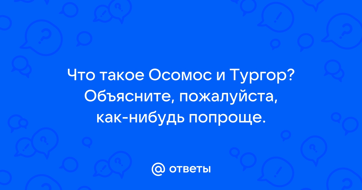 Что такое осмос диффузия тургор