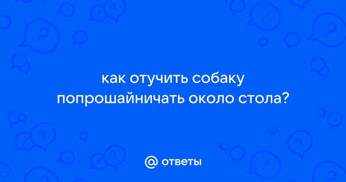 Как отучить собаку попрошайничать со стола