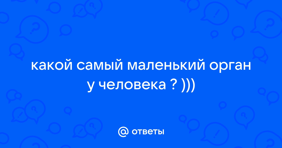 Самый маленький орган человека