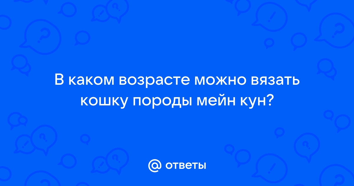 Подходящий возраст для вязки мейн – кунов и правила их разведения