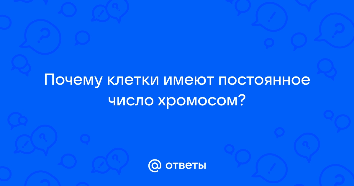 Митоз, клеточный цикл