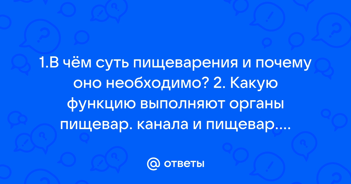 Основные принципы хорошего пищеварения - LevelKitchen