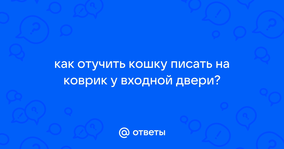 Как отучить кота метить территорию?