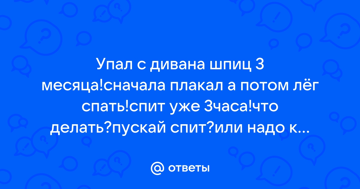 Шпиц упал с дивана и запищал