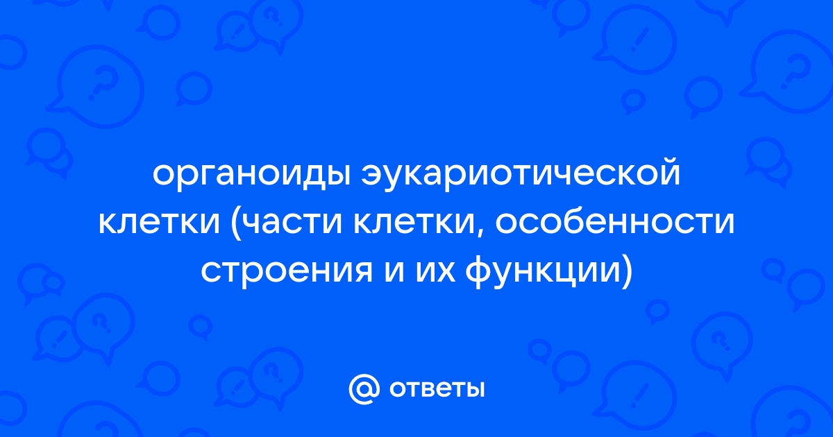 Впиши в пустые клетки синонимы состоящие из такого же количества букв что и соответствующие слова