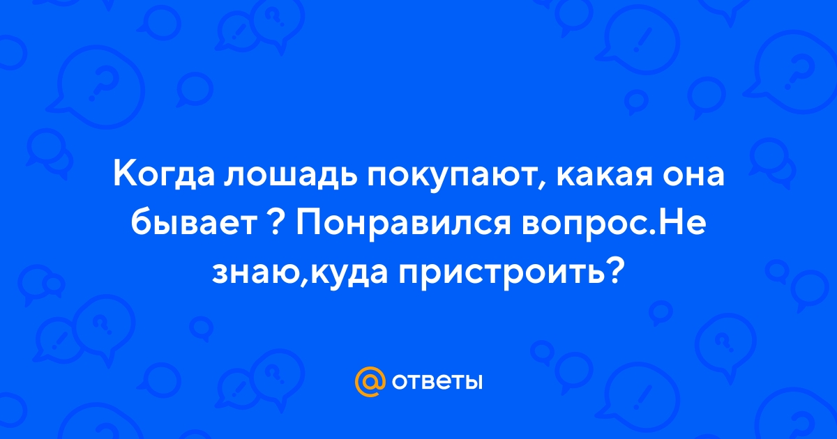 Ответы Mail.ru: Когда лошадь покупают, какая она бывает ? Понравился  вопрос.Не знаю,куда пристроить?