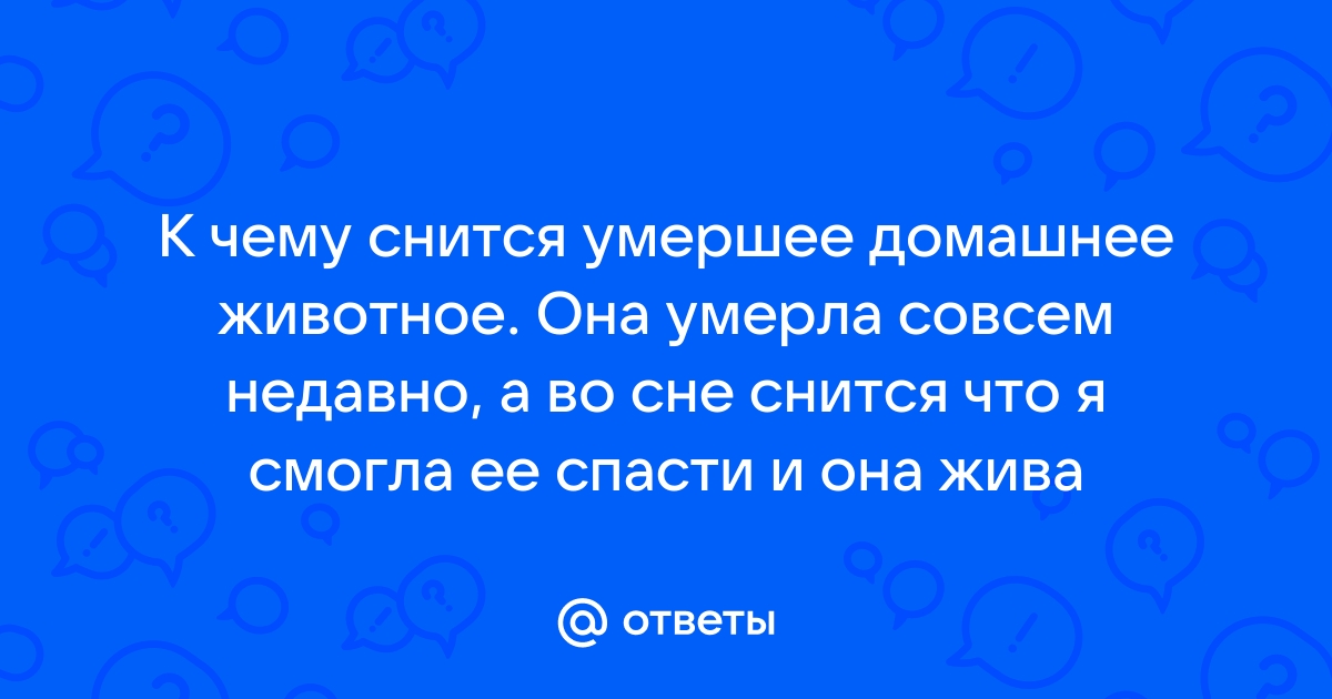 Загадки сновидений: к чему снятся мертвые животные?