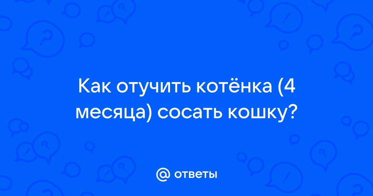 Как отучить котенка от сосания кошки: 5 методов, о которых никто не расскажет