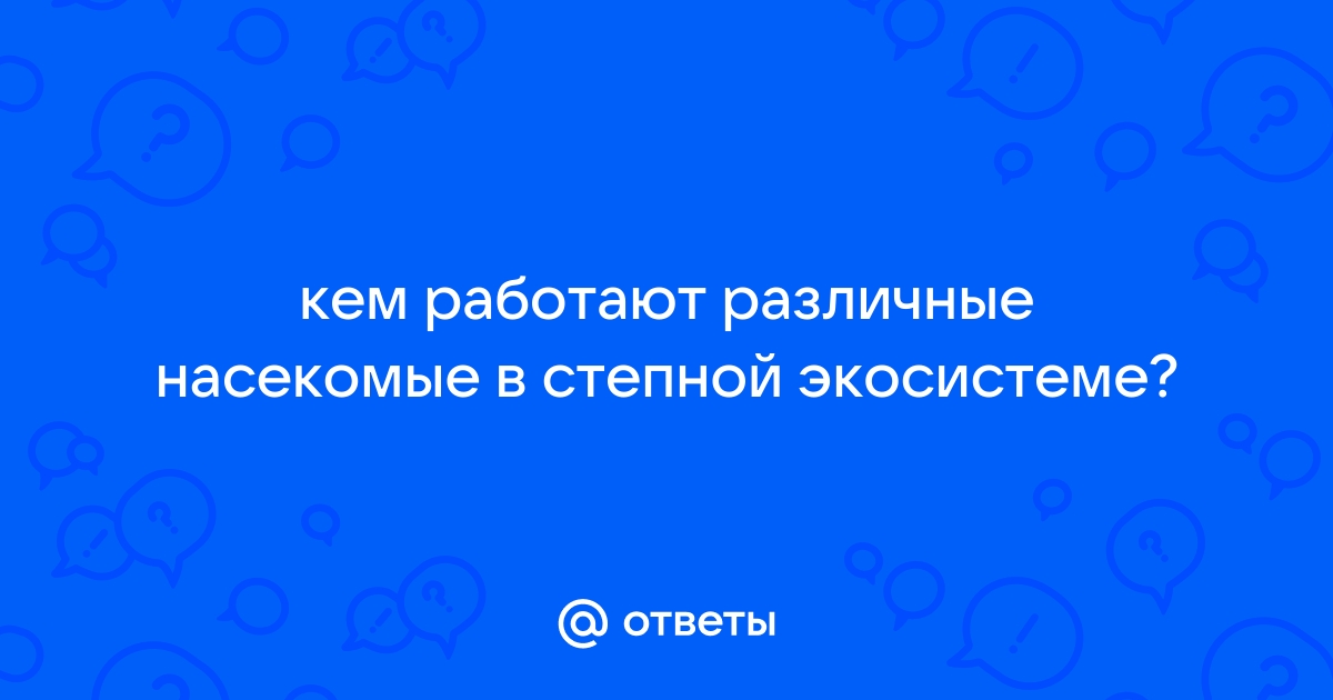 Кем «работают» различные насекомые в степной экосистеме? - Универ soloBY