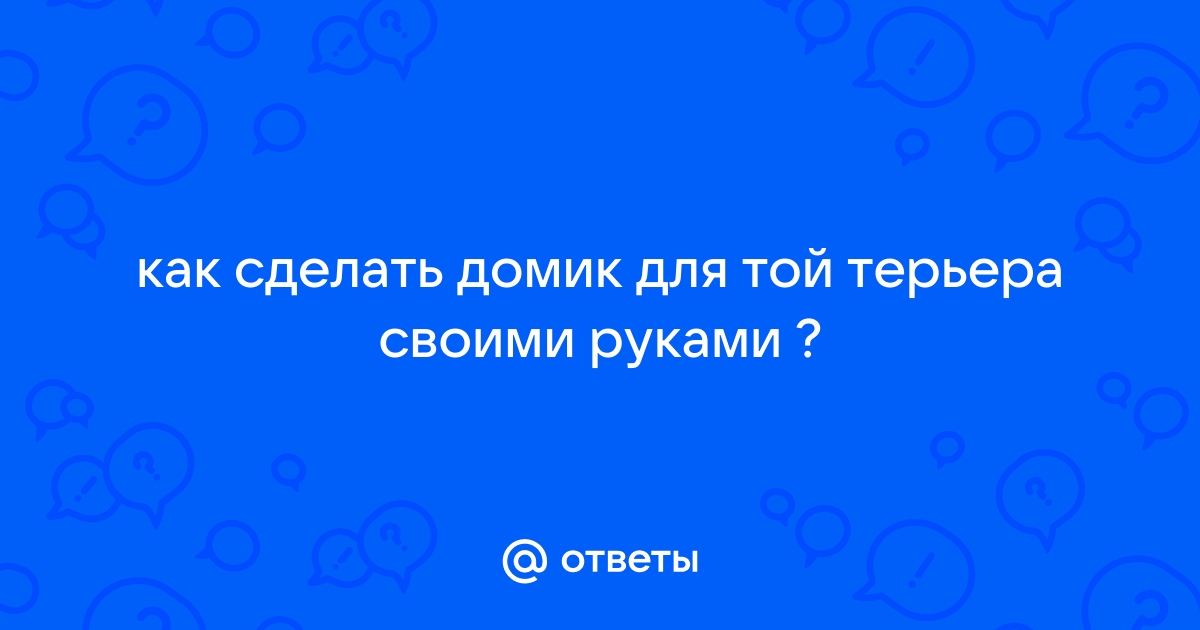 Что нужно знать, прежде чем завести мейн-куна