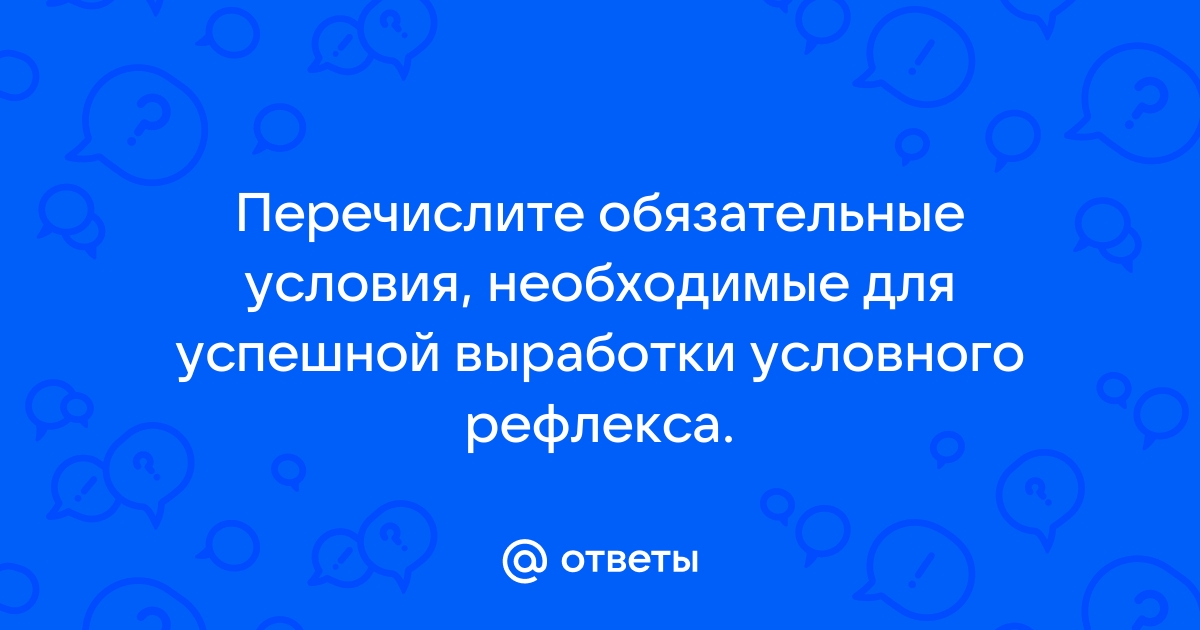 Перечислите необходимые условия для хороших результатов в фото портрете