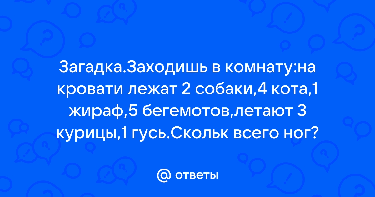 Заходишь в комнату на кровати лежат 2 собаки