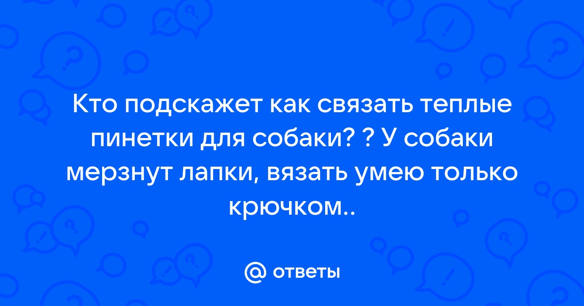 Обувь и носки для собак