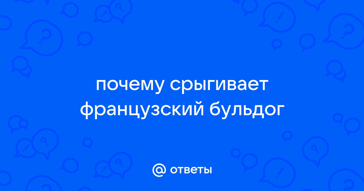 Почему собаку рвёт водой и как ей помочь