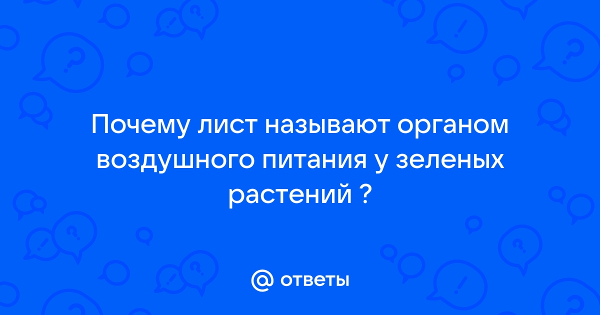 Питание растений — урок. Окружающий мир, 3 класс.