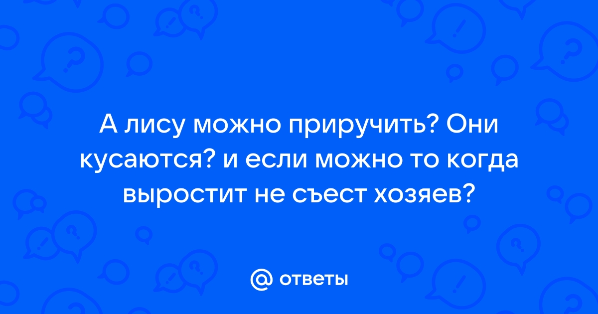 Можно ли прочитав текст нарисовать лису объясните свой ответ запишите ответ