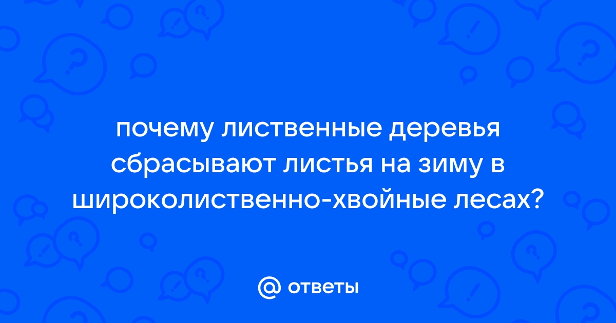 Объяснено, почему хвойные деревья не меняют окрас осенью - Погода zamkitu.ru