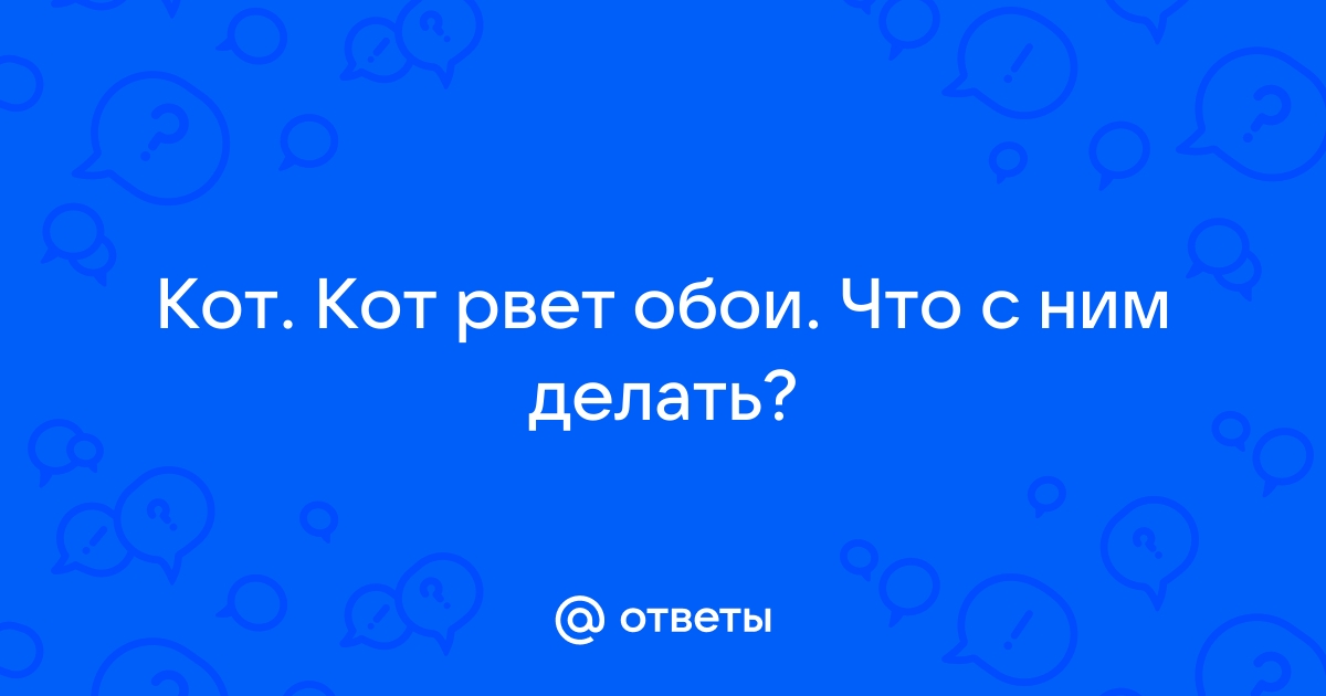 Щенок рвет обои что делать