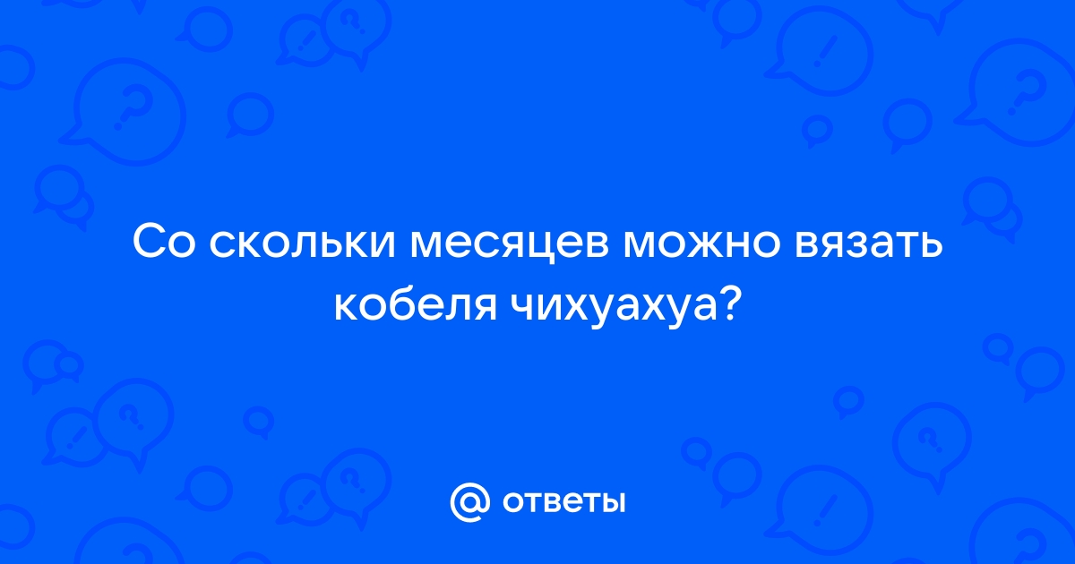 С какого возраста вязать йорка?