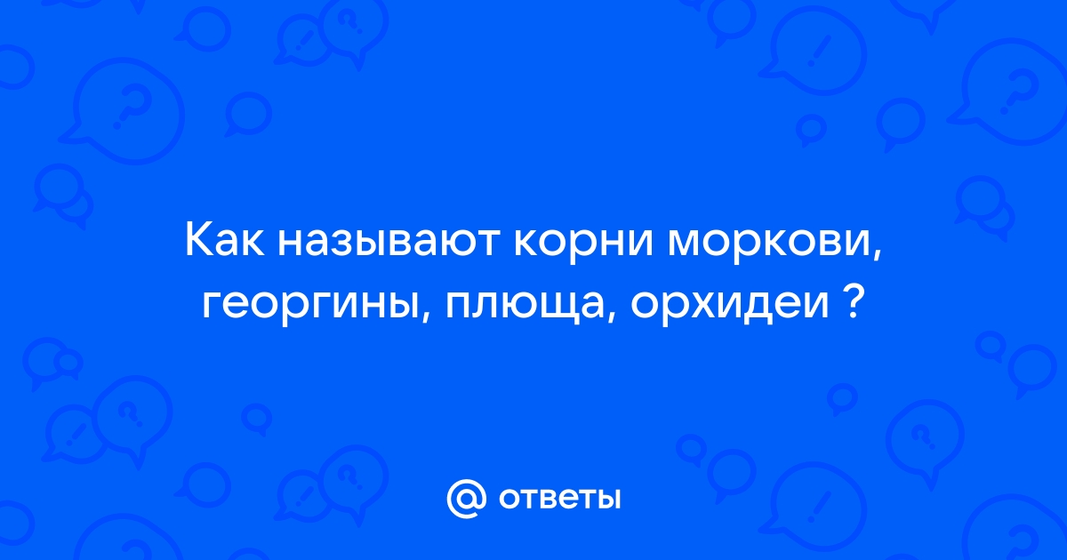 Как правильно называют корни моркови георгины плюща и орхидеи - все секреты названия