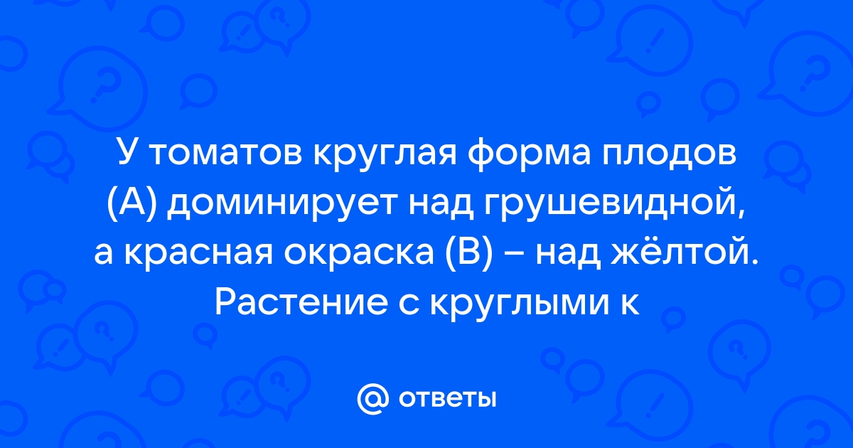 У томатов красная окраска доминирует над желтой