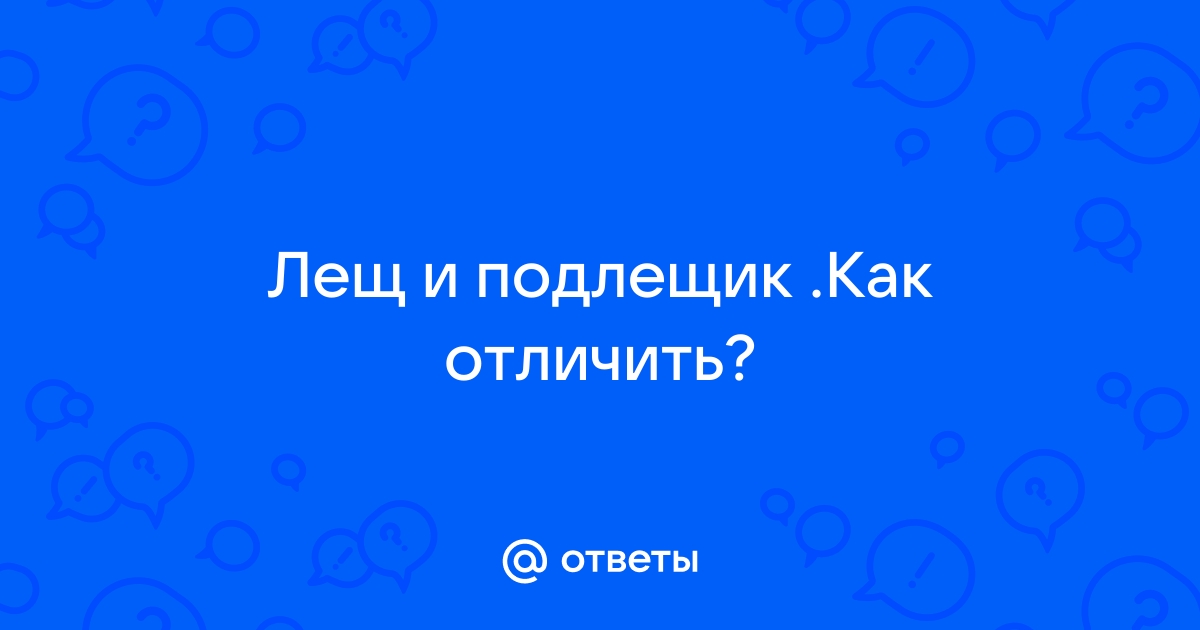 Как отличить леща от подлещика фото