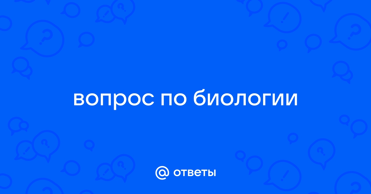 Сын ответы