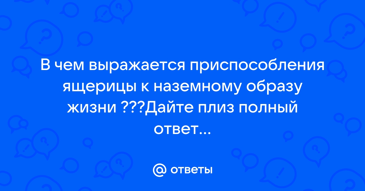 Дайте самый полный ответ компьютер это