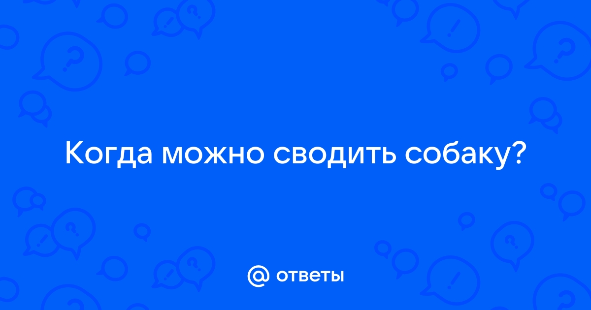 Вязка собаки, вопросы и ответы