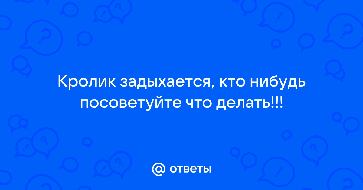 Болезни кроликов — основные виды, симптомы и лечение