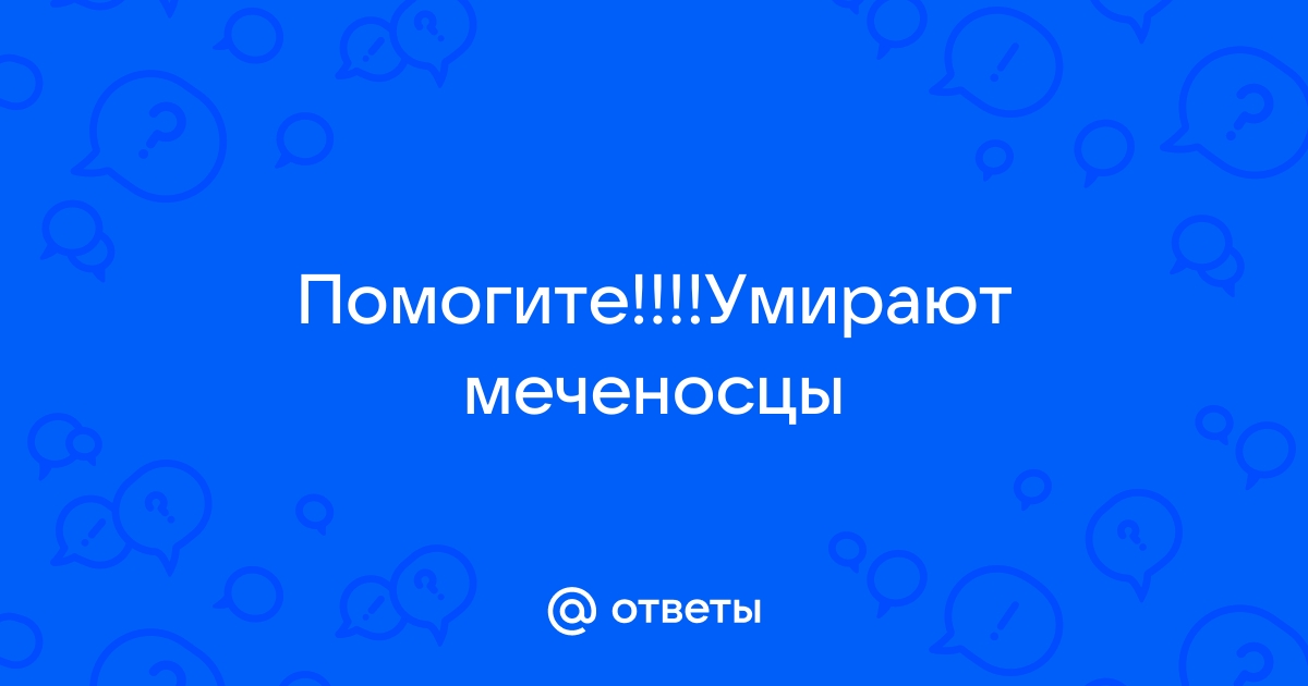 Факторы риска: почему умирают рыбки в аквариуме и как предотвратить их гибель?