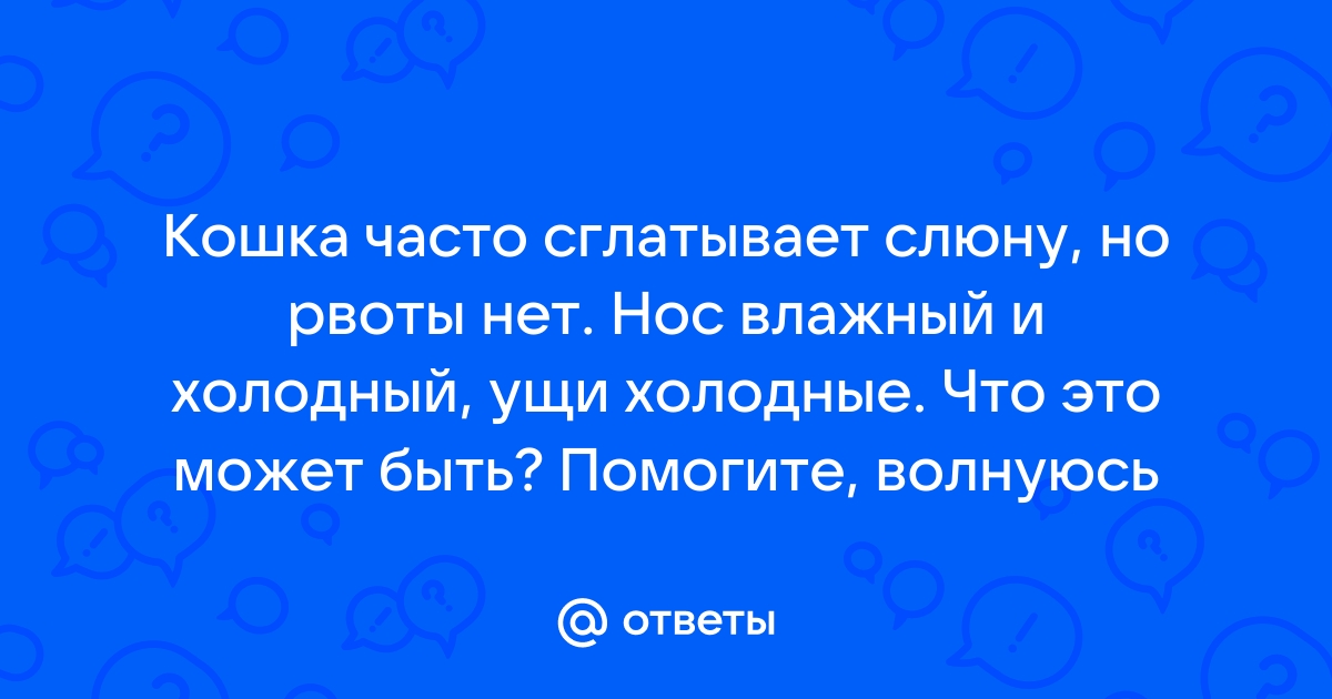 Кот часто сглатывает. Почему кошка постоянно сглатывает слюну.