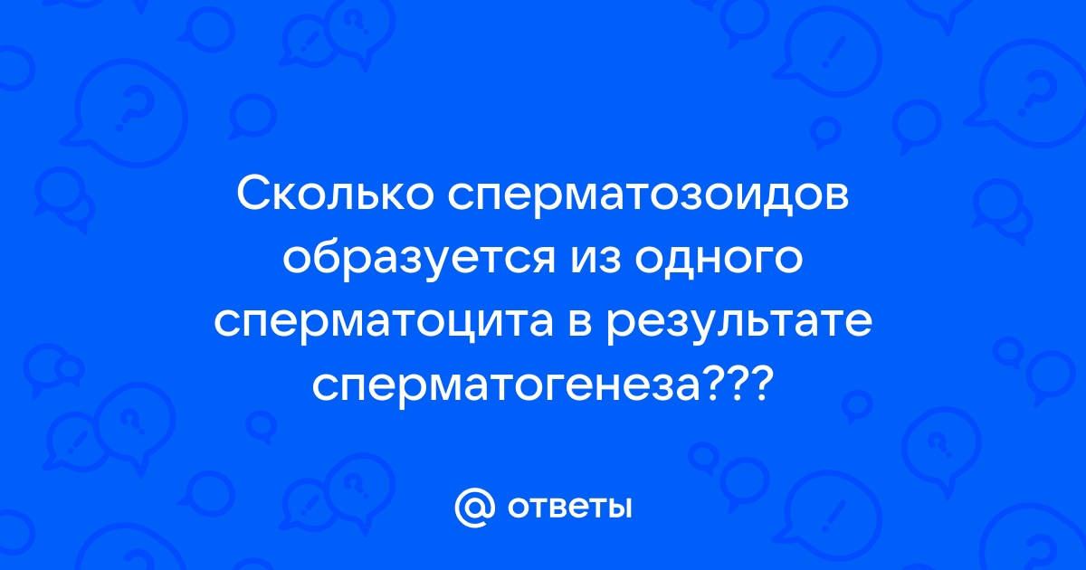 Вы точно человек?