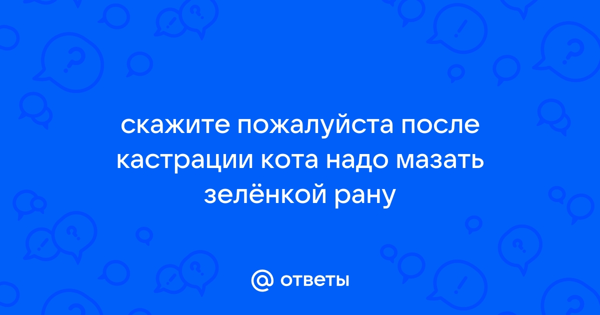 Как ухаживать за ранами у животных, чем обрабатывать | Статья АВЗ