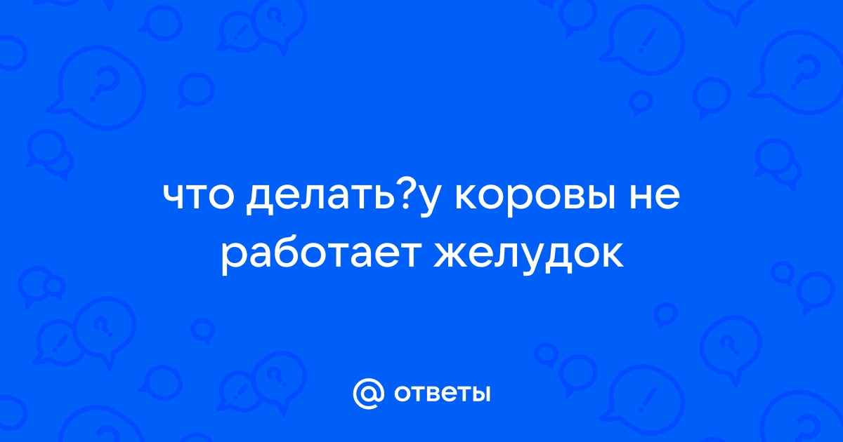 У коровы встал желудок. Что делать в домашних условиях?