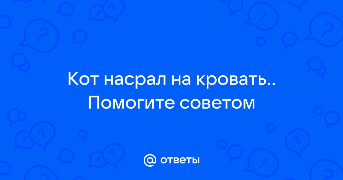 Он насрал на кровать